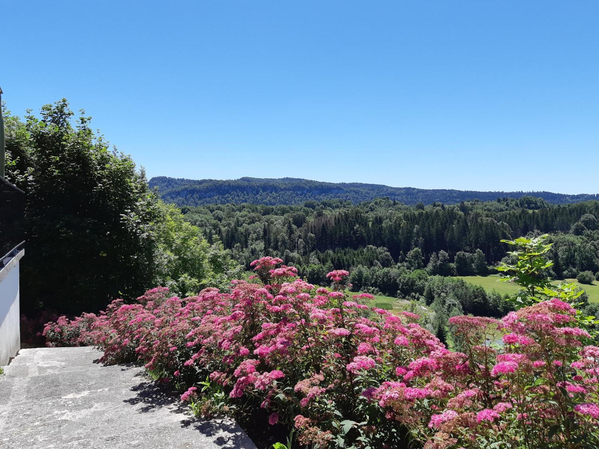 Les Alpages Hotel Bonlieu Kültér fotó